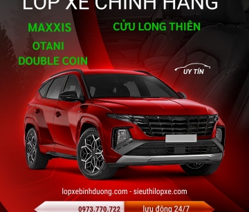 Mua Lốp Xe Tải Double Coin Giá Tốt Ở Đâu Tại Bình Dương?