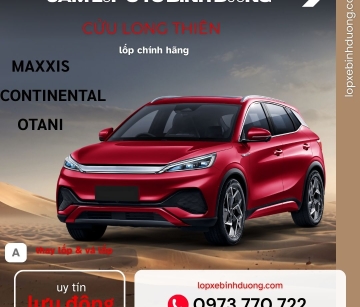 Đại Lý Phân Phối Lốp Xe Tải Double Coin Uy Tín Tại Bình Dương