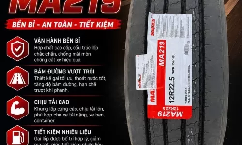Lốp Maxxis MA219 11R22.5, 12R22.5, 295/80R22.5, 315/80R22.5 | Cửu Long Thiên