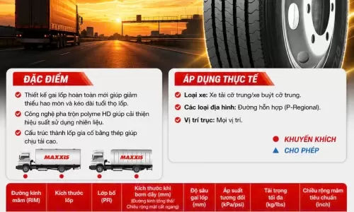 Cửa Hàng Cung Cấp Lốp Xe Ô Tô Tại Bình Dương | Cửu Long Thiên