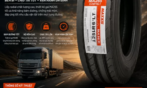 LỐP XE CHÍNH HÃNG MAXXIS – OTANI – DOUBLE COIN | BAO SHIP NHANH TOÀN QUỐC