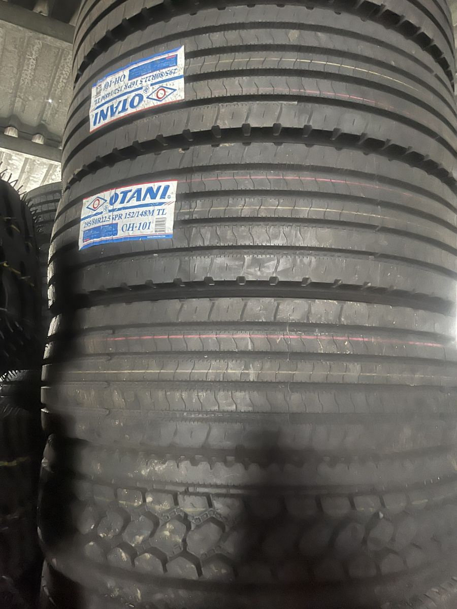 Lốp Xe OTANI 295/80R22.5 16PR